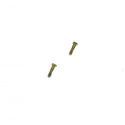 Set of 2 screws charging screws for Apple iphone 6S +