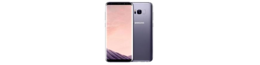 Samsung Galaxy S8 + G955F